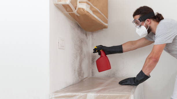 Professional Mold Remediation technician working in Wakefield, MI